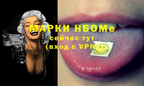 хмурый Алексин