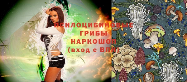 хмурый Алексин