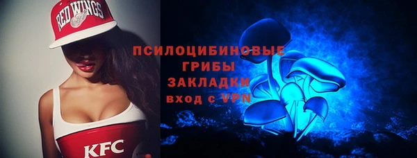хмурый Алексин