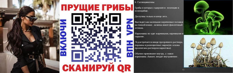 Галлюциногенные грибы мицелий Лобня